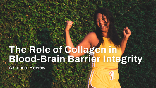 The Role of Collagen in Blood-Brain Barrier Integrity: A Critical Review