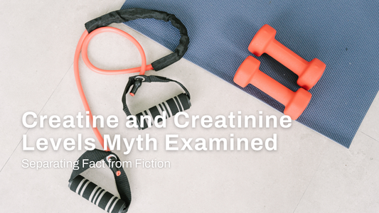 Separating Fact from Fiction: Creatine and Creatinine Levels Myth Examined