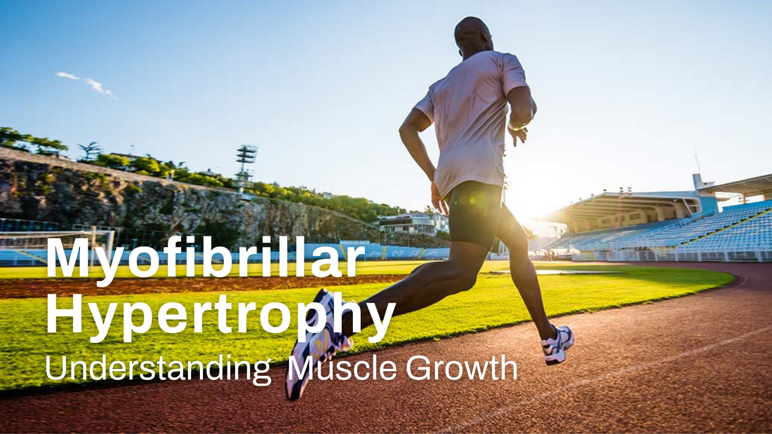 Myofibrillar Hypertrophy: Understanding Growth Through Muscle Fiber Enhancement