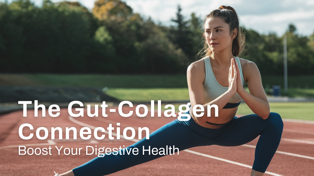 Gut Health: The Surprising Link Between Collagen and Digestive Wellness