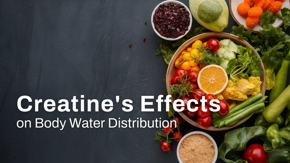 Dietary Sources of Creatine: Natural Ways to Boost Your Creatine Intake