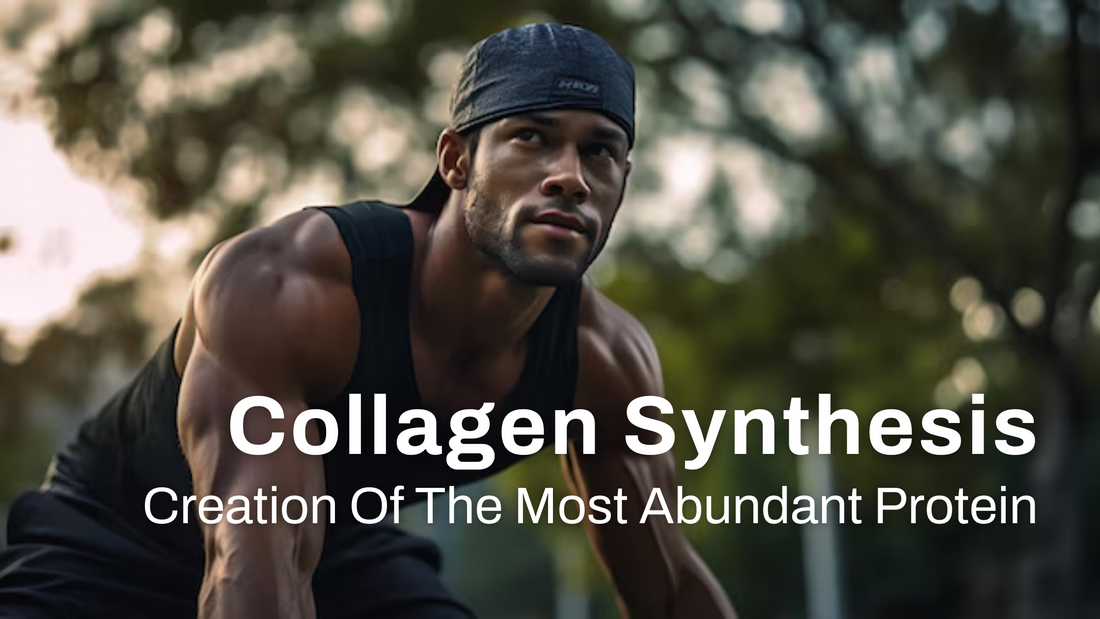 Collagen Synthesis: The Body's Process of Creating Its Most Abundant Protein