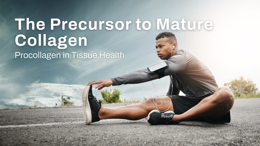Procollagen: The Precursor to Mature Collagen in Tissue Health