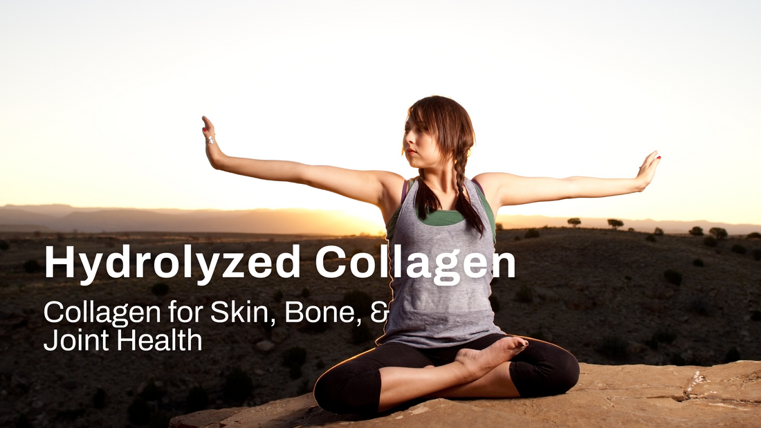 Hydrolyzed Collagen: The Easily Absorbed Form of Collagen for Skin, Bone, and Joint Health