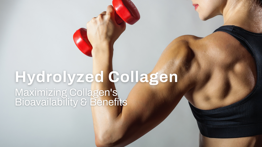 Hydrolyzed Collagen: Maximizing Collagen's Bioavailability and Benefits