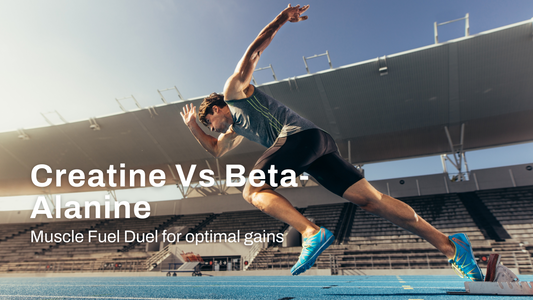 Muscle Fuel Duel: Creatine Versus Beta-Alanine for Optimal Gains