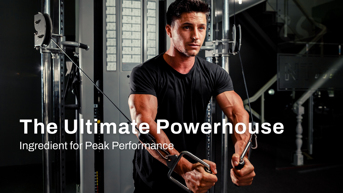 Creatine: The Powerhouse Ingredient for Peak Performance