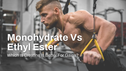 Creatine Showdown: Monohydrate Versus Ethyl Ester, Which One Prevails?