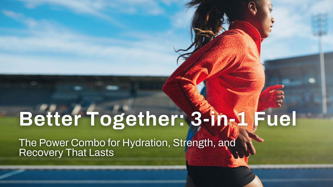 How Collagen, Creatine, and Electrolytes Work Together?