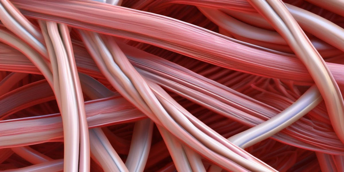 Elastogenesis: How Collagen and Elastin Synergize for Tissue Flexibility