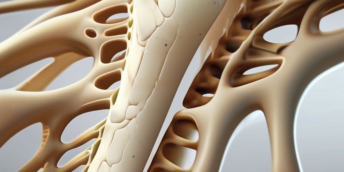 Osteopenia: Strengthening Bones with Collagen's Support