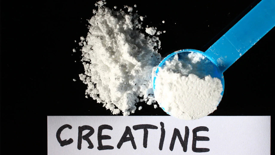 Can I Mix Creatine With Energy Drink? Don’t Guess—Know This – Drink Harlo